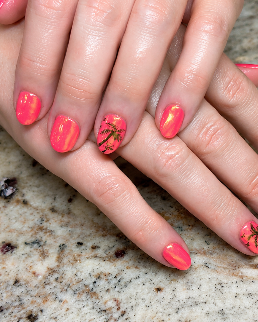 Paradise Nail salon photo 10